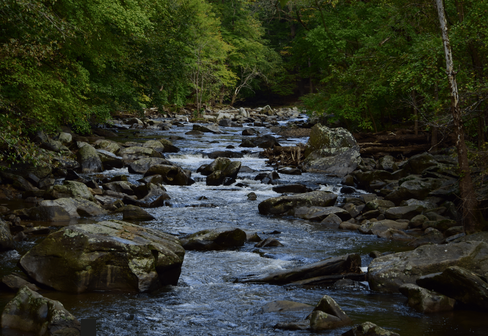 Image of Rock Creek Park