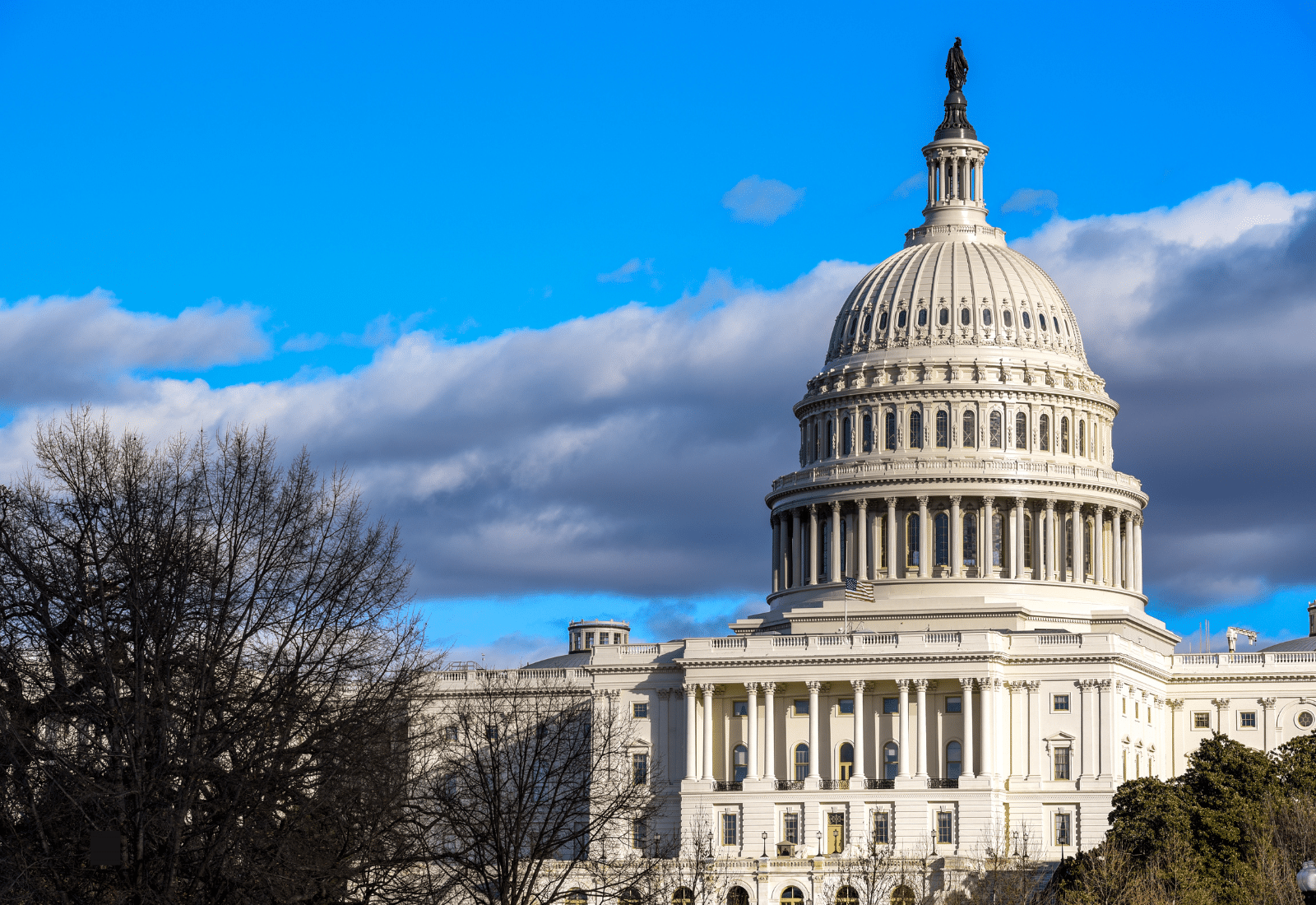 Image of the Capitol